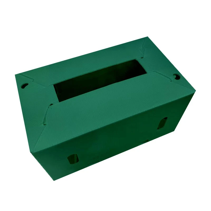 Pp Box Packaging suppliers